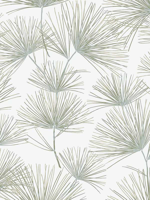 Pine Needles Peel and Stick wallpaper in aloe green color - pattern number NW52104 - by NextWall in the Peel and Stick Wallpaper by Nextwall collection