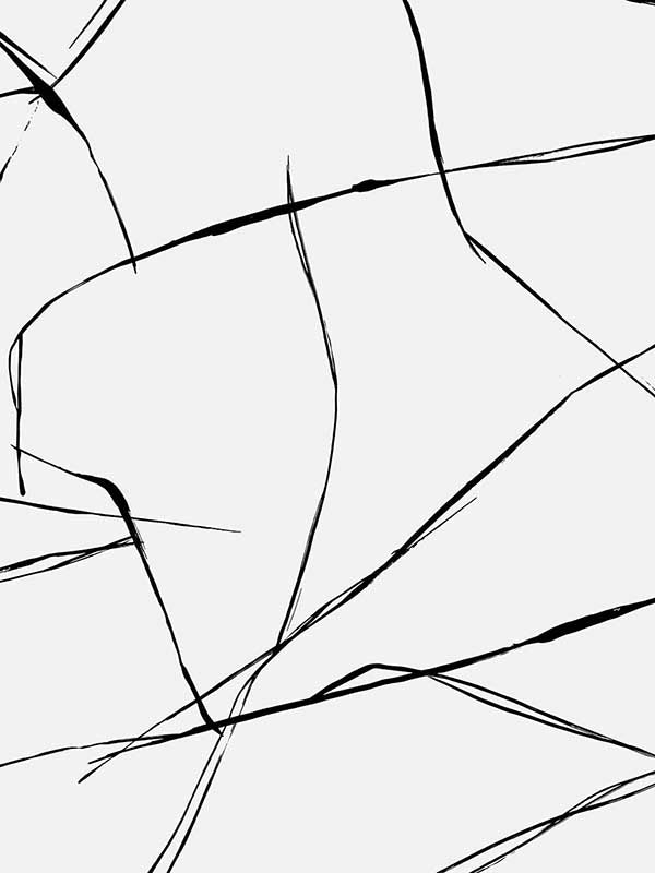 Inkwork Abstract Peel and Stick wallpaper in ebony and eggshell color - pattern number NW53200 - by NextWall in the Peel and Stick Wallpaper by Nextwall collection