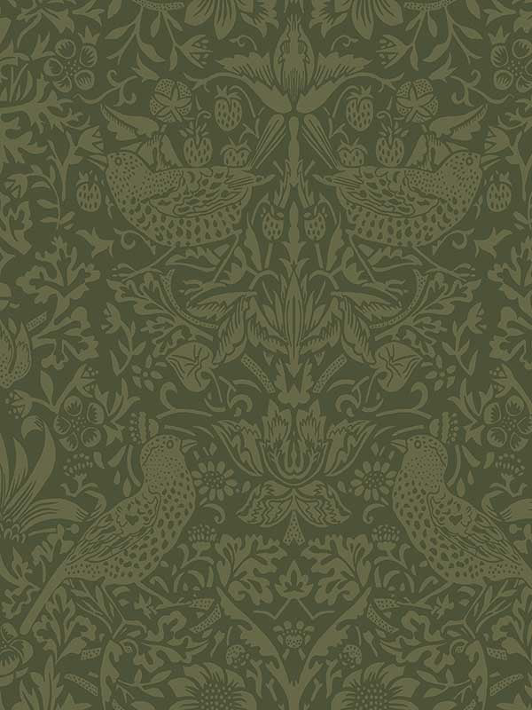 Tonal Bird Garden Peel and Stick wallpaper in moss green color - pattern number NW54404 - by NextWall in the Peel and Stick Wallpaper by Nextwall collection