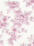 Sketched Floral Peel and Stick wallpaper in pink color - pattern number NW55701 - by NextWall in the Peel and Stick Wallpaper by Nextwall collection