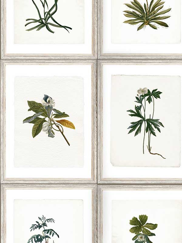 Botany wallpaper in green brown grey color - pattern number WP20153 - by Mind the Gap in the Designer Collection II collection