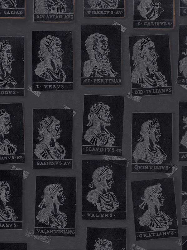 Emperors wallpaper in anthracite grey color - pattern number WP20415 - by Mind the Gap in the Compendium collection