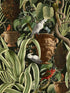 Exotic Menagerie wallpaper in dark green brown black red color - pattern number WP20463 - by Mind the Gap in the Compendium collection