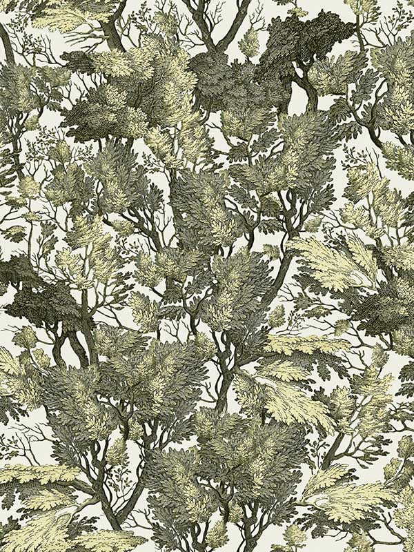 Tree Foliage wallpaper in green white color - pattern number WP20481 - by Mind the Gap in the Compendium collection