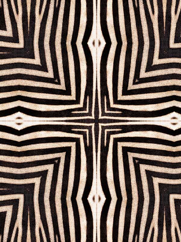 Serengeti wallpaper in taupe brown black color - pattern number WP20505 - by Mind the Gap in the Compendium collection