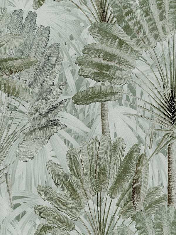 Travellers Palm wallpaper in neutral color - pattern number WP20525 - by Mind the Gap in the Compendium collection