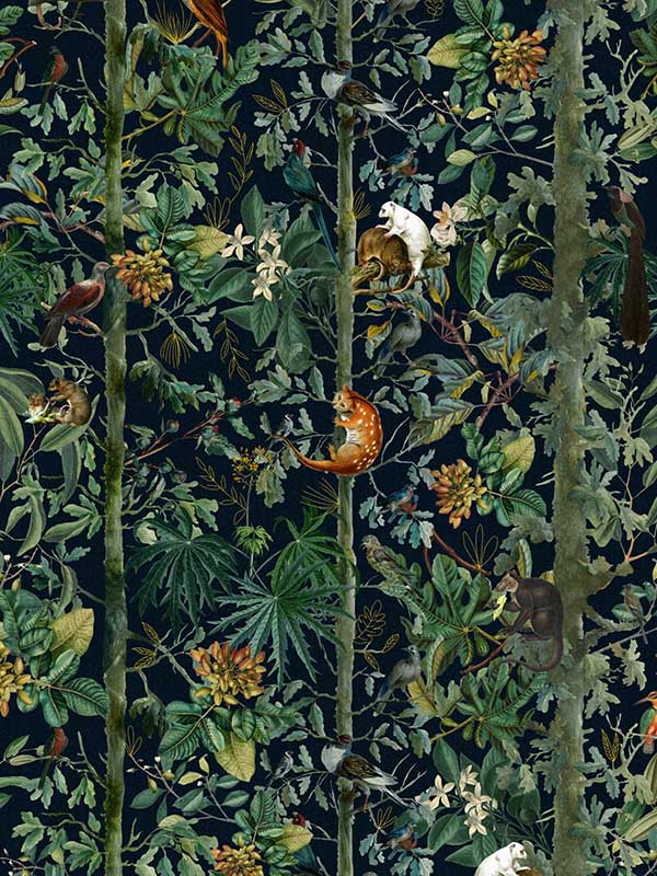 Wildlife Of Papua wallpaper in dark green black red yellow color - pattern number WP20527 - by Mind the Gap in the Compendium collection