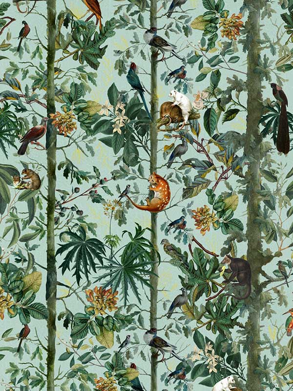 Wildlife Of Papua wallpaper in green blue red yellow color - pattern number WP20528 - by Mind the Gap in the Compendium collection