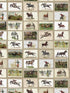 English Equestrian Stamps fabric in taupe green brown color - pattern number WP20631 - by Mind the Gap in the Compendium Volume 2 collection