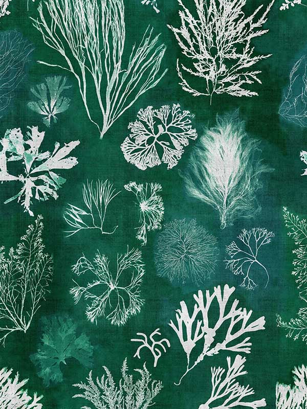 Algae fabric in moss green white color - pattern number WP20296 - by Mind the Gap in the Wallpaper Collectables collection