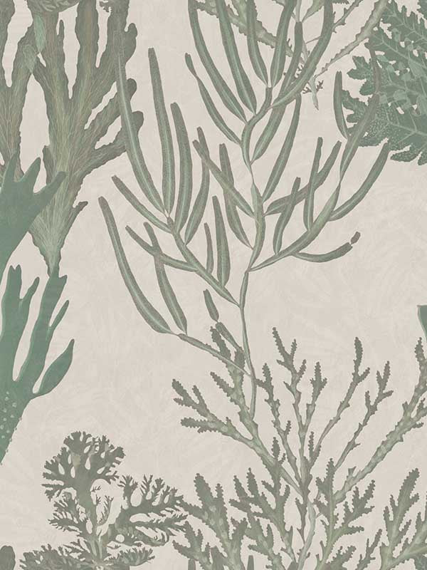 Light Corals fabric in green taupe color - pattern number WP20300 - by Mind the Gap in the Wallpaper Collectables collection