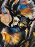 Goldfish fabric in anthracite blue yellow black color - pattern number WP20301 - by Mind the Gap in the Wallpaper Collectables collection