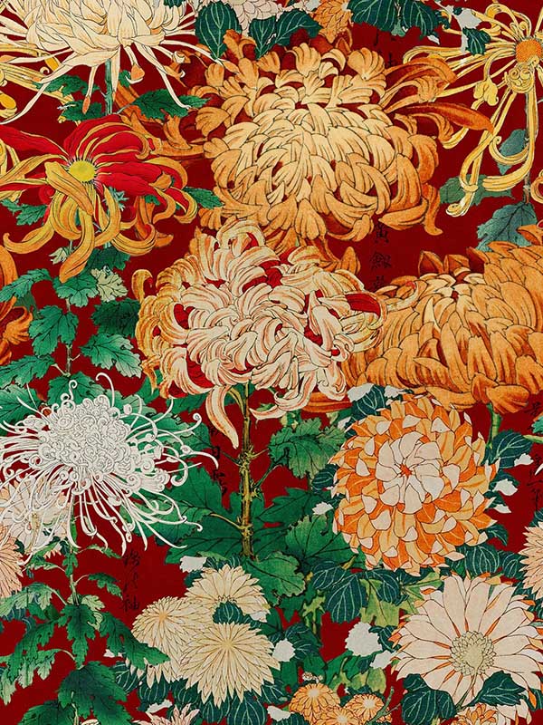Chrysanthemums wallpaper in green red yellow color - pattern number WP20320 - by Mind the Gap in the Wallpaper Collectables collection