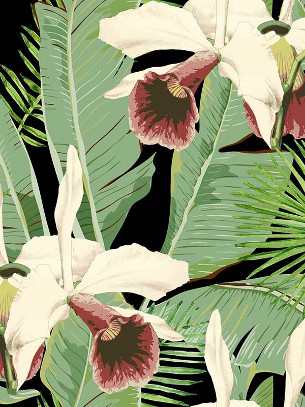 Treasure Island wallpaper in anthracite green black white red color - pattern number WP20364 - by Mind the Gap in the Wallpaper Collectables collection