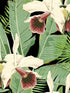 Treasure Island wallpaper in anthracite green black white red color - pattern number WP20364 - by Mind the Gap in the Wallpaper Collectables collection