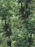 Branchy Meadow fabric in green color - pattern number WP20785 - by Mind the Gap in the Orient Express collection