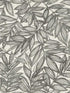 Rhythmic Leaf wallpaper in charcoal color - pattern number 4146-27229 - by A Street Prints in the Harmony collection