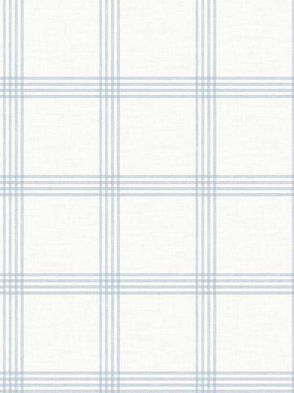 Twain Plaid fabric in light blue color - pattern number 4134-26995 - by Chesapeake in the Wildflower collection