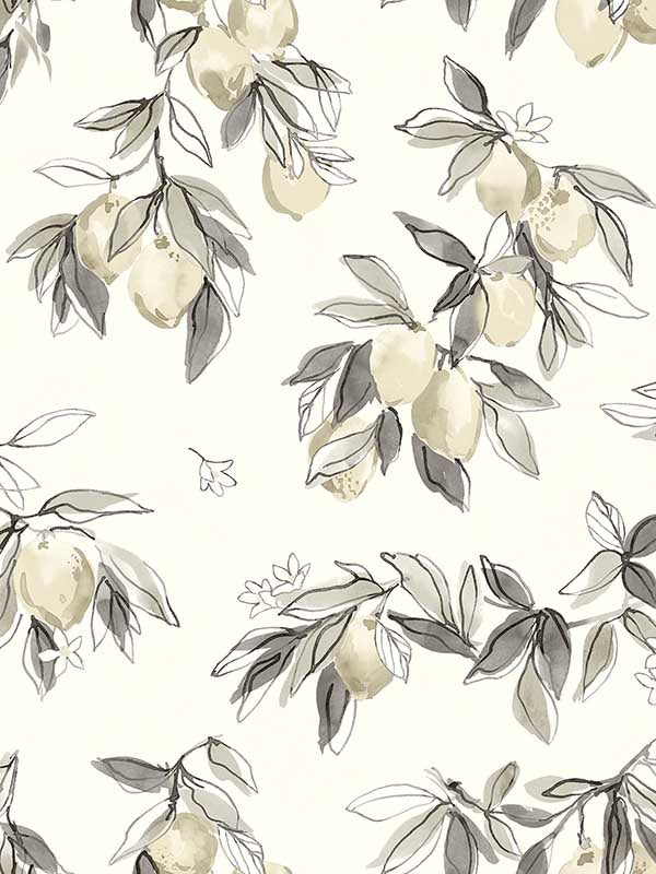 Lemonade Citrus fabric in grey color - pattern number 4134-72507 - by Chesapeake in the Wildflower collection