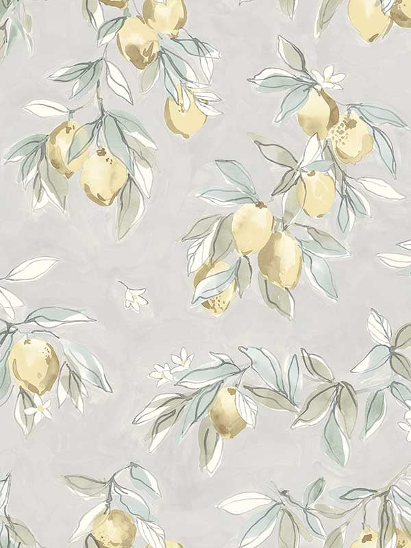 Lemonade Citrus fabric in charcoal color - pattern number 4134-72509 - by Chesapeake in the Wildflower collection
