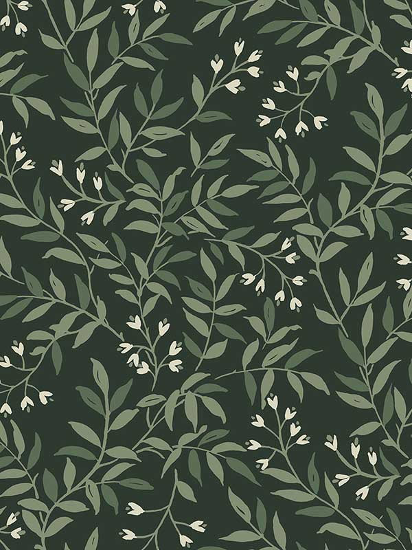 Senna Budding Vines wallpaper in evergreen color - pattern number 4134-72518 - by Chesapeake in the Wildflower collection