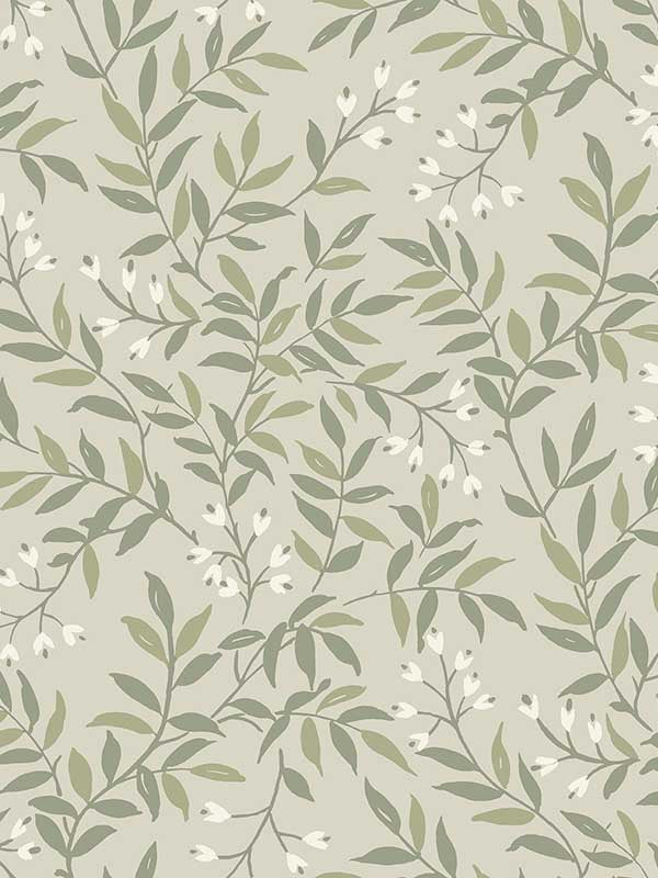 Senna Budding Vines wallpaper in green color - pattern number 4134-72523 - by Chesapeake in the Wildflower collection
