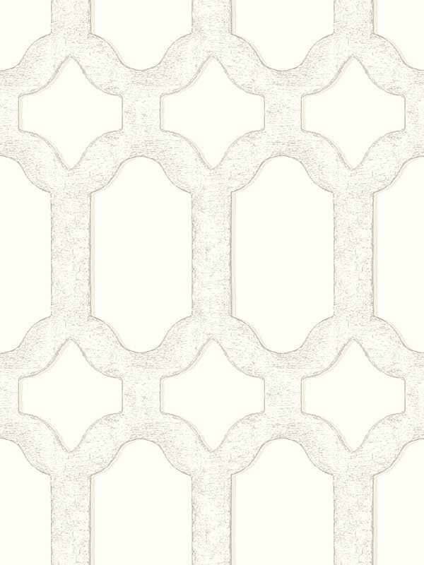Chervil Trellis wallpaper in white color - pattern number 4134-72542 - by Chesapeake in the Wildflower collection