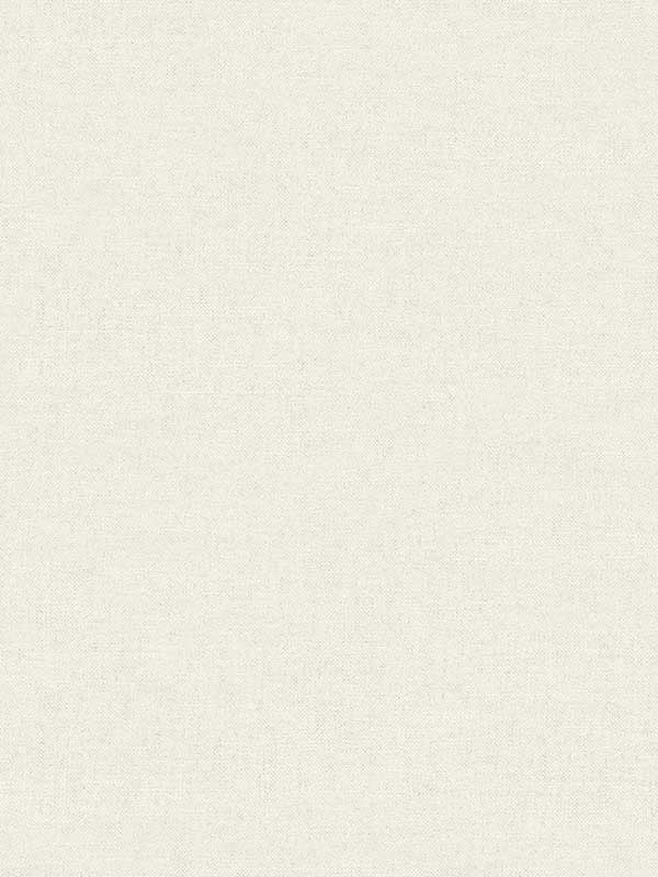 Chambray Fabric Weave fabric in dove color - pattern number 4134-72551 - by Chesapeake in the Wildflower collection