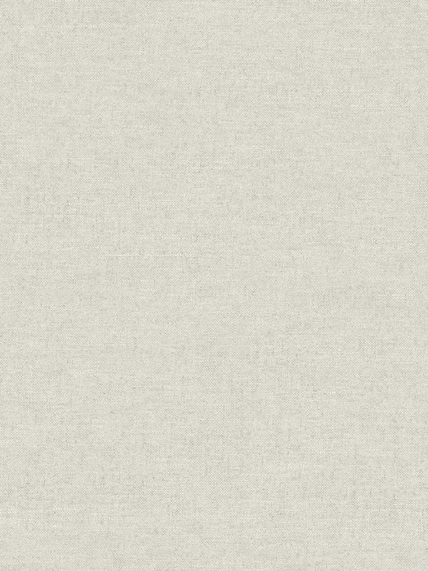 Chambray Fabric Weave fabric in light grey color - pattern number 4134-72552 - by Chesapeake in the Wildflower collection