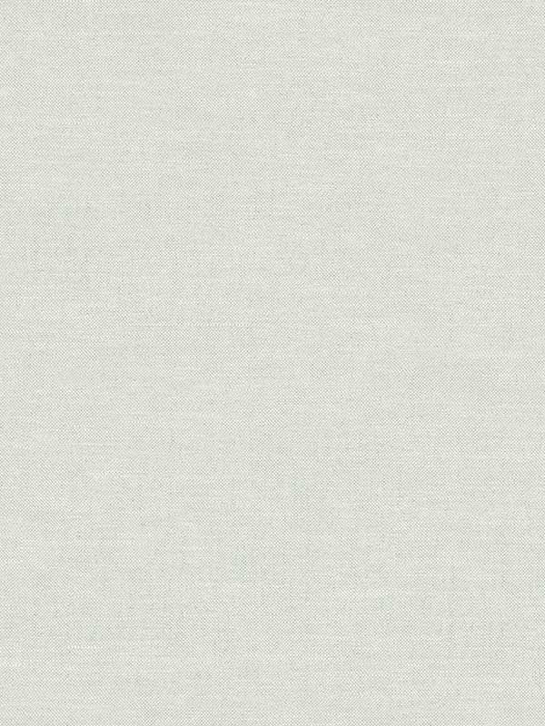 Chambray Fabric Weave fabric in light blue color - pattern number 4134-72553 - by Chesapeake in the Wildflower collection