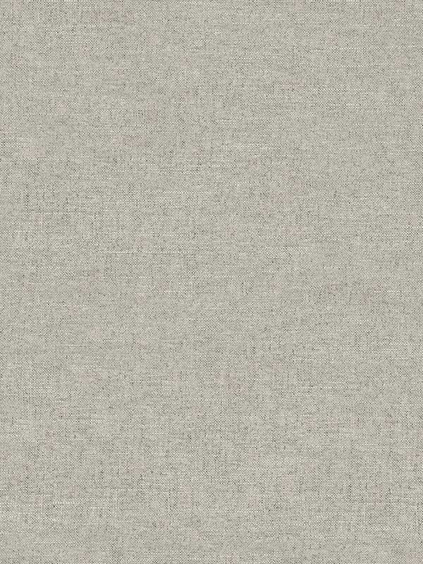 Chambray Fabric Weave fabric in grey color - pattern number 4134-72556 - by Chesapeake in the Wildflower collection