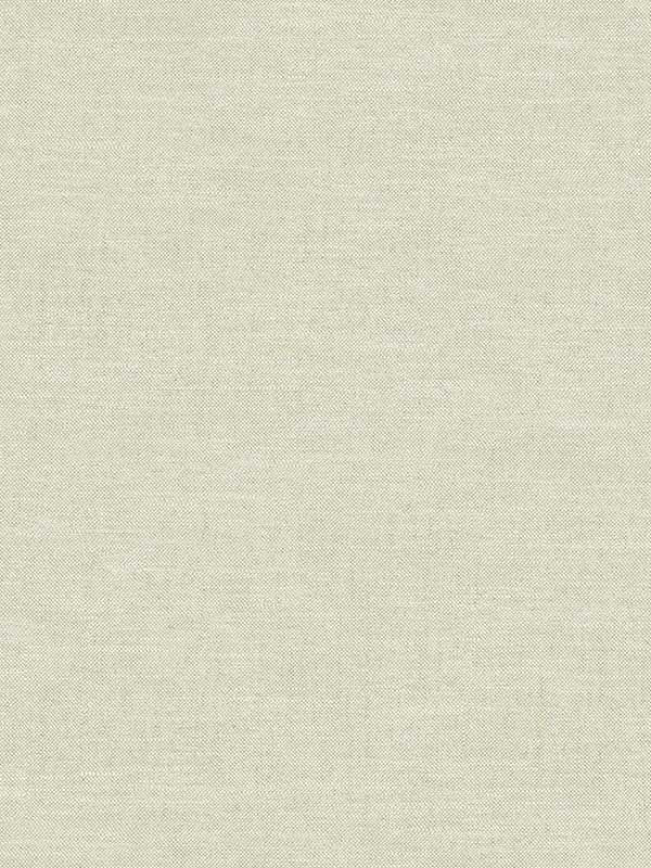 Chambray Fabric Weave fabric in sage color - pattern number 4134-72557 - by Chesapeake in the Wildflower collection