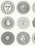 Soli fabric in black and white color - pattern number 123/1001.CS.0 - by Cole and Son in the Fornasetti Senza Tempo II collection