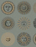 Soli fabric in sage and rose gold color - pattern number 123/1003.CS.0 - by Cole and Son in the Fornasetti Senza Tempo II collection