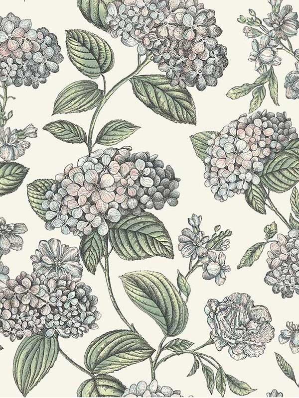 Ramo Di Ortensia wallpaper in stone color - pattern number 123/8039.CS.0 - by Cole and Son in the Fornasetti Senza Tempo II collection