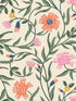 Aster fabric in coral color - pattern number RF7433 - by Rifle Paper Co in the Rifle Paper Co Third Edition collection