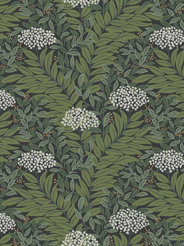 Highgrove wallpaper in black color - pattern number RF7504 - by Rifle Paper Co in the Rifle Paper Co Third Edition collection