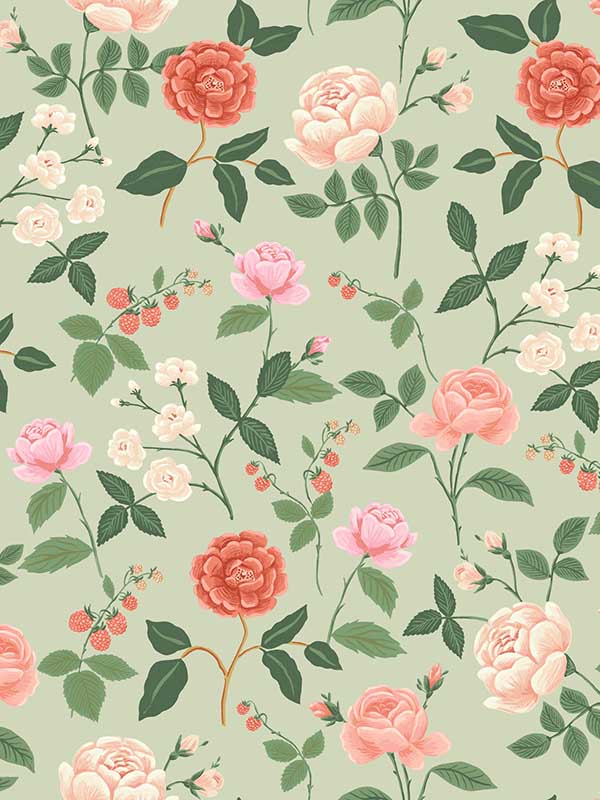 Roses wallpaper in mint color - pattern number RF7545 - by Rifle Paper Co in the Rifle Paper Co Third Edition collection