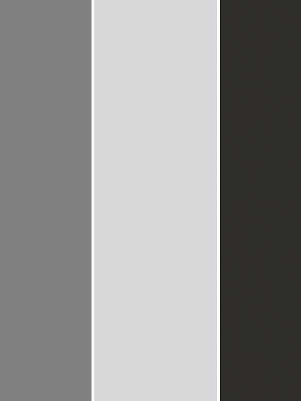Wide Stripe wallpaper in silver grey color - pattern number G68074 - by Galerie in the Smart Stripes 3 collection