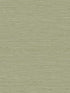 Bangkok fabric in fall green color - pattern number GT35119 - by Seabrook in the Linen and Silk Textures collection