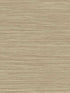 Rauma wallpaper in cream color - pattern number CP92217 - by Seabrook in the A Lot More Textures collection