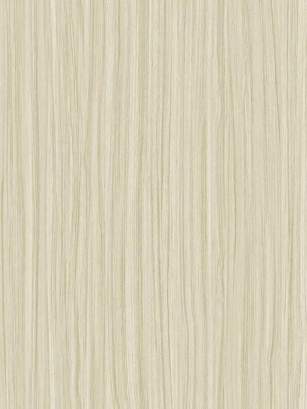 Salo wallpaper in rice paper color - pattern number CP96705 - by Seabrook in the A Lot More Textures collection