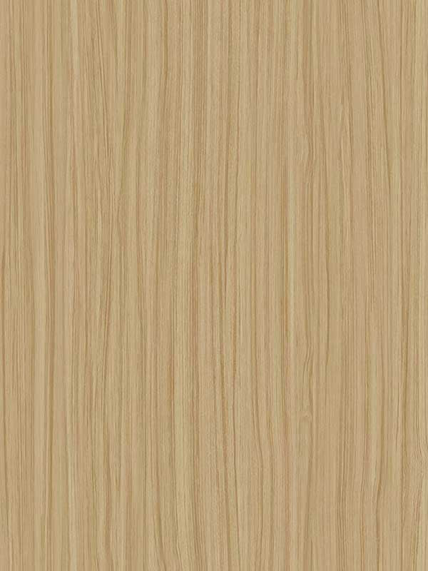 Salo wallpaper in latte color - pattern number CP96707 - by Seabrook in the A Lot More Textures collection