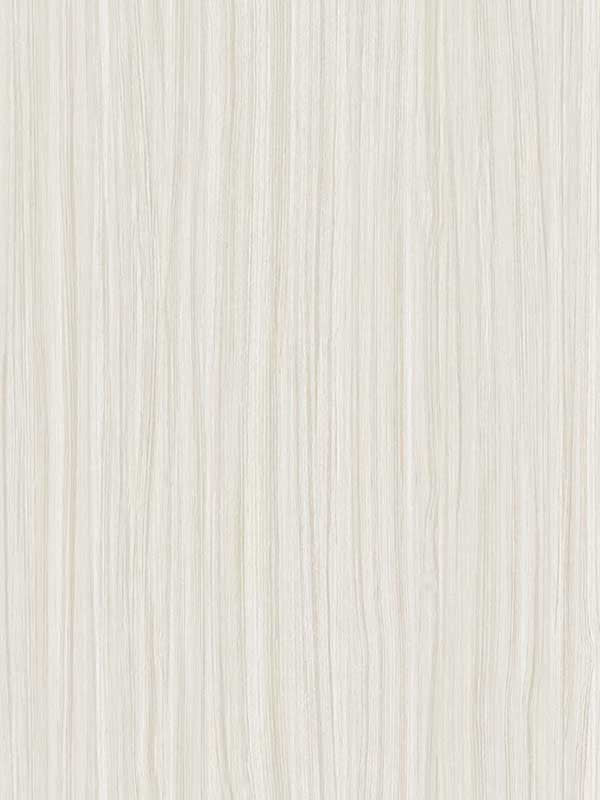 Salo wallpaper in paper color - pattern number CP96710 - by Seabrook in the A Lot More Textures collection