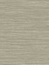 Rauma wallpaper in almond color - pattern number CP97207 - by Seabrook in the A Lot More Textures collection