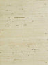 Tightweave Arrowroot wallpaper in summer white color - pattern number LN50049 - by Seabrook in the Lillian August Natural Textured Wallcoverings Vol 2 collection