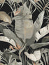 Tropical fabric in black color - pattern number NT6135 - by Candice Olson in the Natural Discovery collection