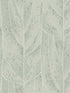 Dicot wallpaper in spa color - pattern number NT6141 - by Candice Olson in the Natural Discovery collection