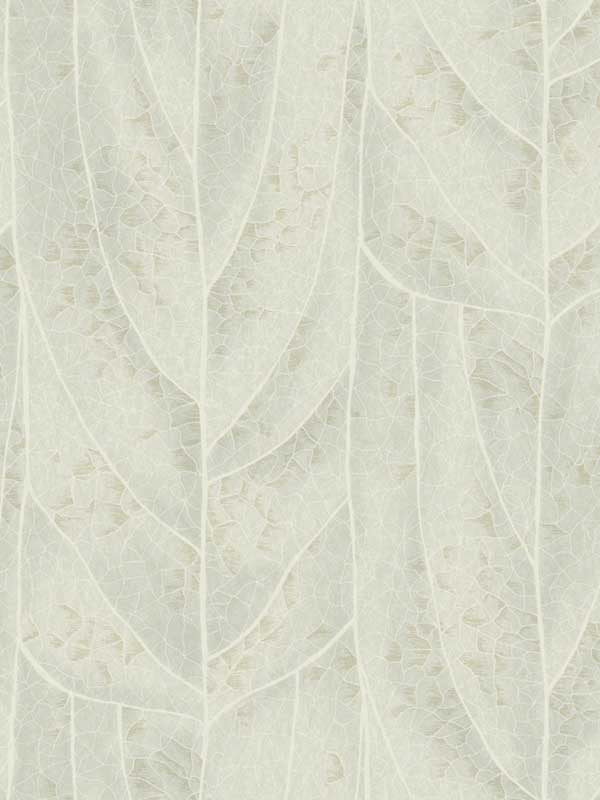Dicot wallpaper in light green color - pattern number NT6142 - by Candice Olson in the Natural Discovery collection