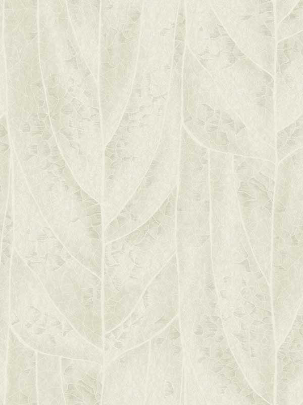 Dicot wallpaper in neutral color - pattern number NT6143 - by Candice Olson in the Natural Discovery collection